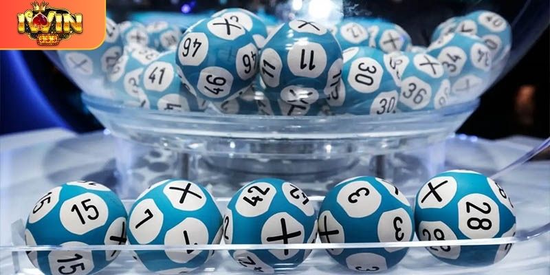 Bạch thủ lô là gì? Cách đánh và kinh nghiệm nuôi hiệu quả