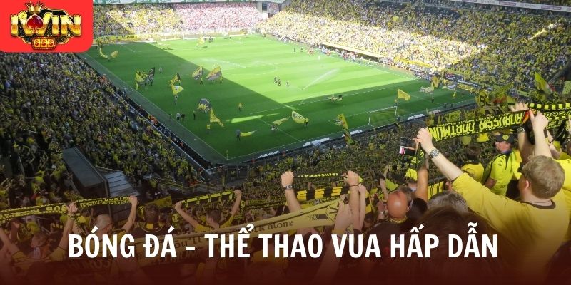 Bóng đá - thể thao vua hấp dẫn