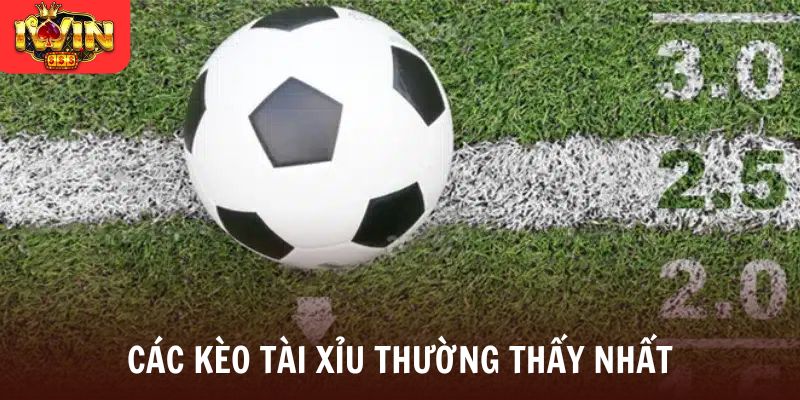 Các kèo tài xỉu thường thấy nhất
